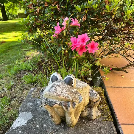 Ponte Bora Villa Pontevedra