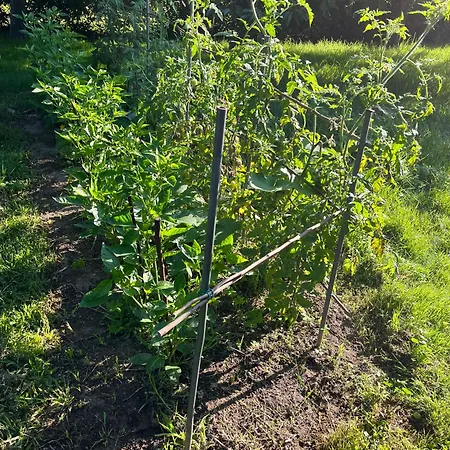 Ponte Bora Villa Pontevedra