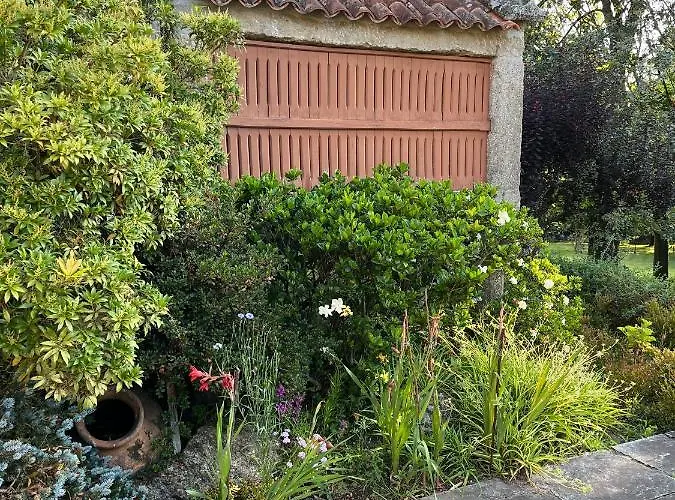 Ponte Bora Pontevedra