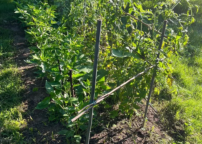 Ponte Bora ヴィラ ポンテベドラ